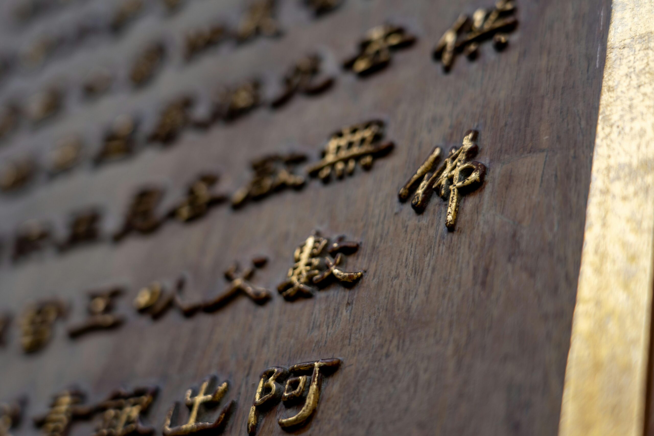 玫瑰肖像下的真相：安妮·博林的“第六指”神话与一场500年的巫术平反