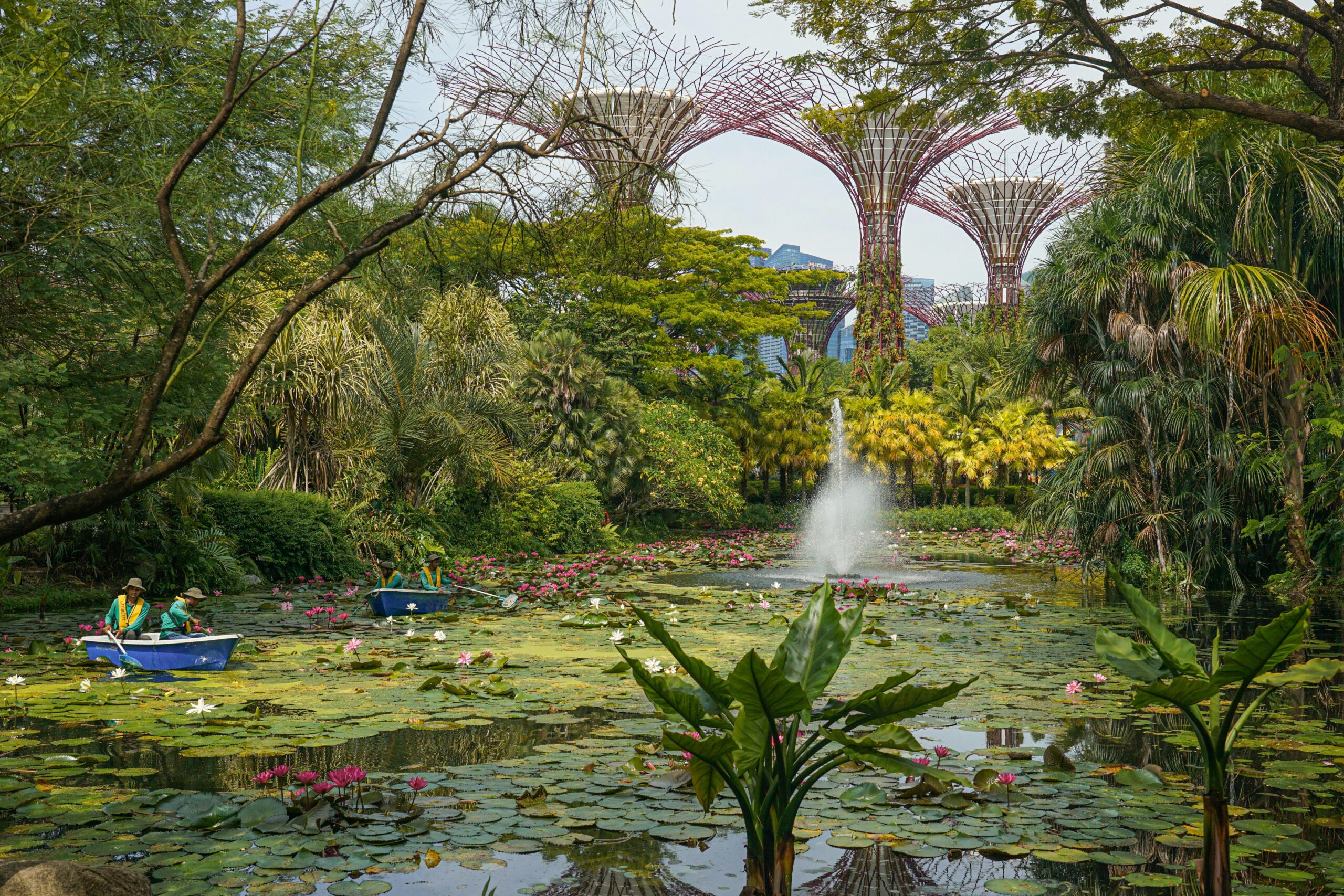 纳雷尔之怒:当“高端”四级气旋登陆,我们直面的不只是风暴