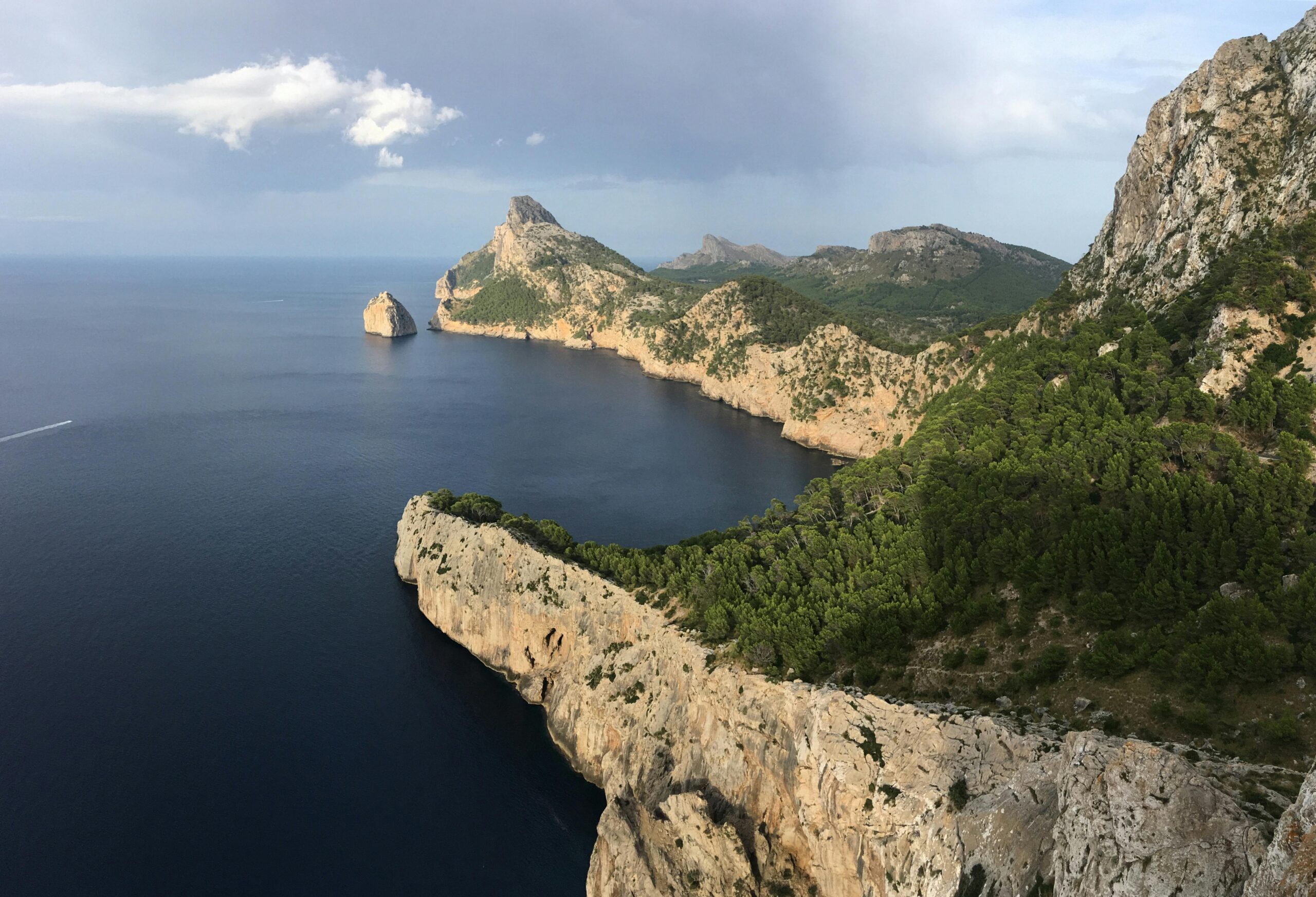 中东资本暗流涌动:USDC逼近800亿美元背后的全球财富大迁徙