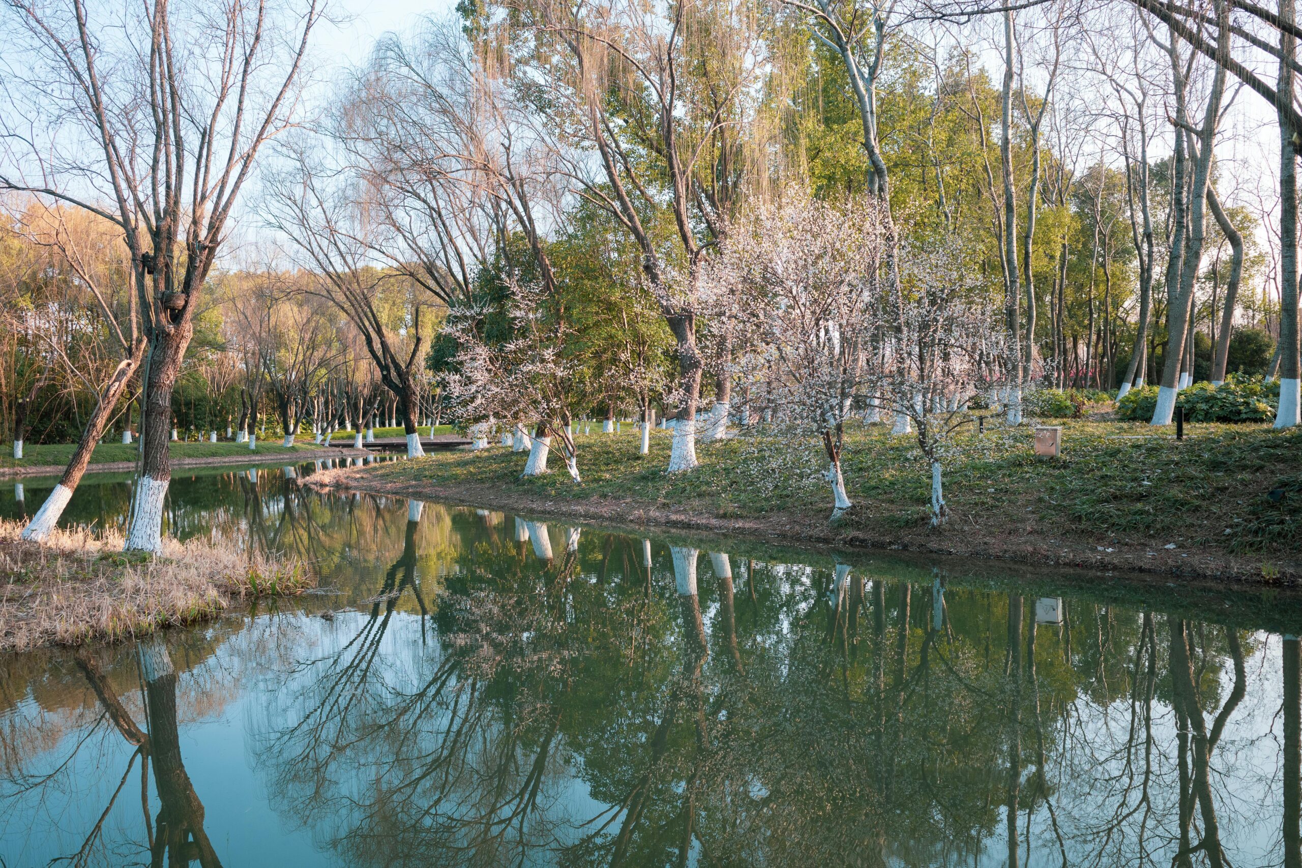 火星惊现远古洪流遗迹！毅力号挖出最有力证据：这颗红色星球曾是一片汪洋？
