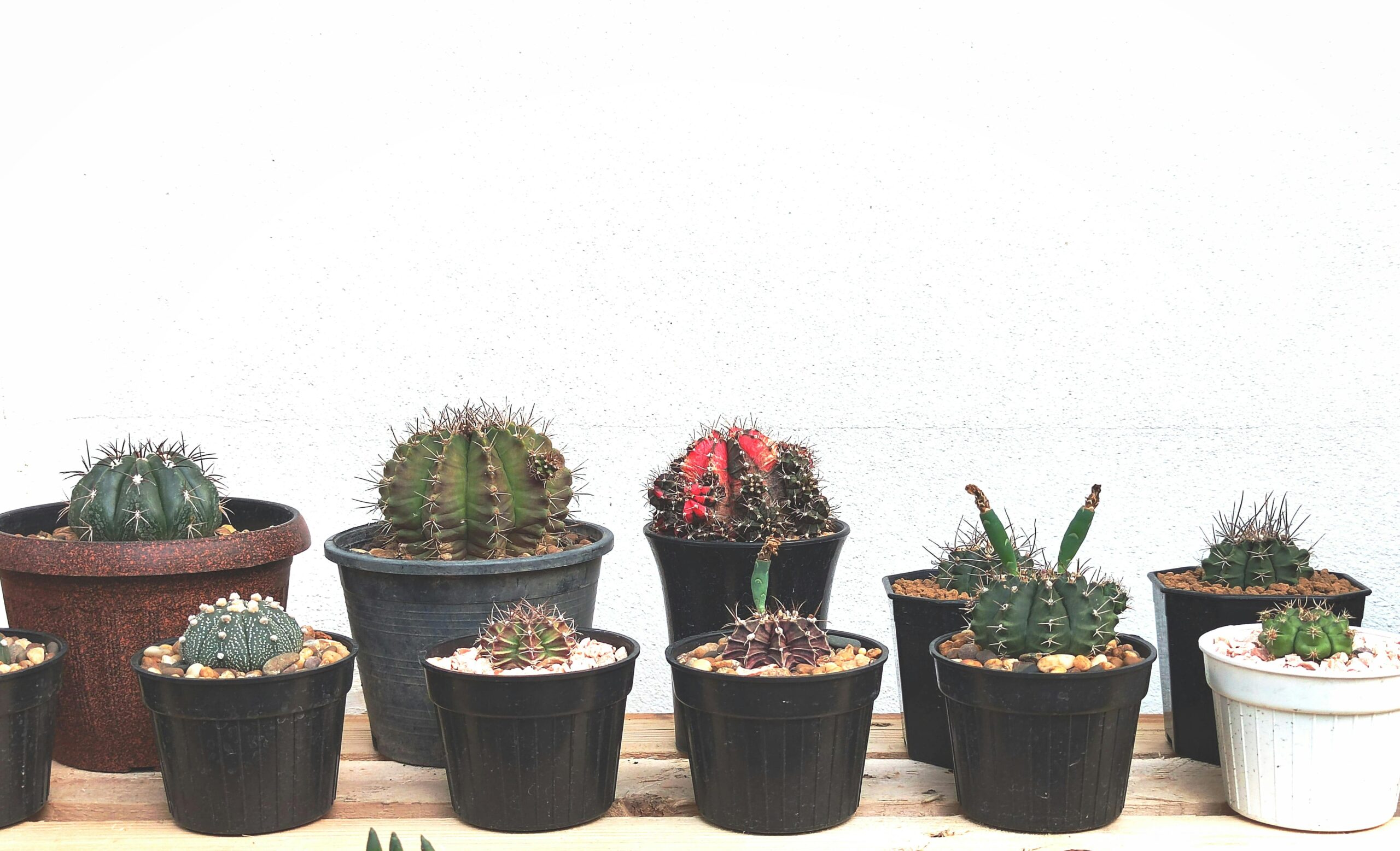 Reddit祭出“人脸识别”大杀器：是终结机器人泛滥的利器，还是隐私时代的危险信号？