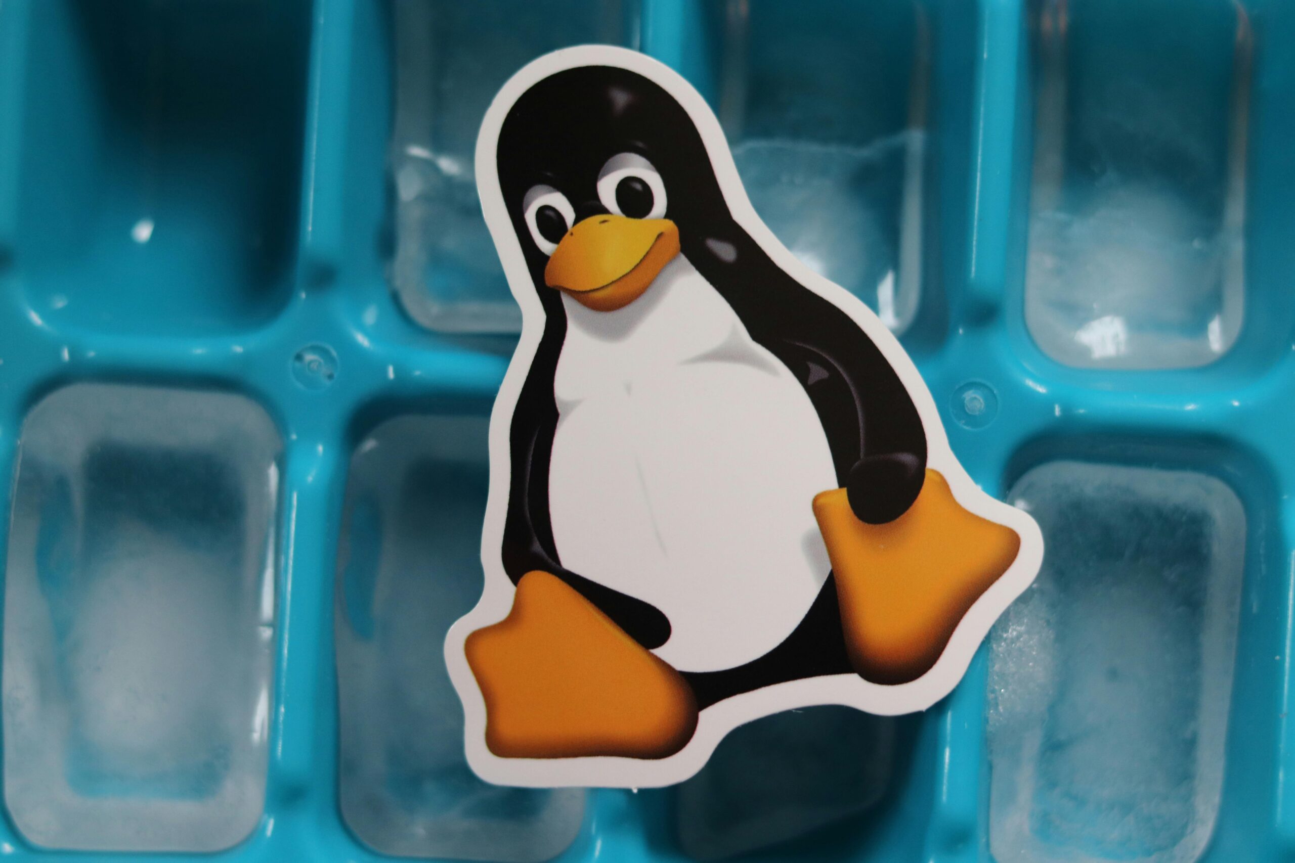 Ubuntu的AI野心：当最受欢迎的Linux发行版开始“思考”