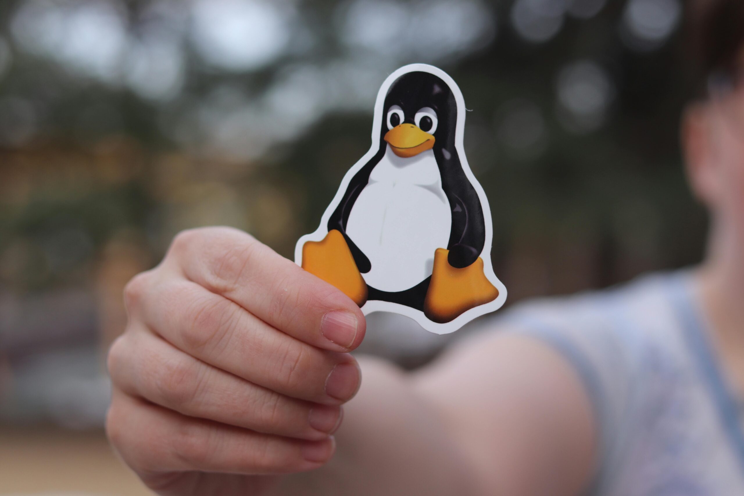 当Ubuntu拥抱AI:一场Linux用户与Canonical之间的“信任保卫战”
