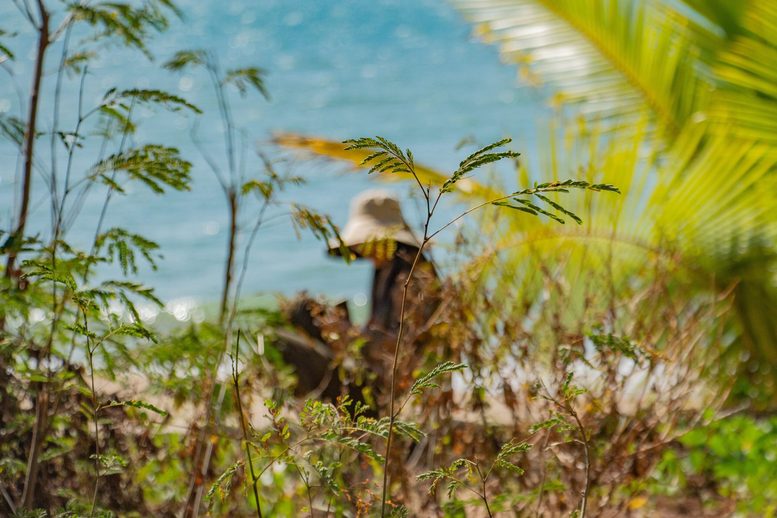 地球正在“反噬”自己？最新研究：气候反馈回路或让全球变暖恶化30%，人类还剩多少时间？